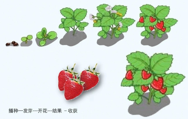 【防疫科普】如何利用園藝療法保持復(fù)工后身心健康？