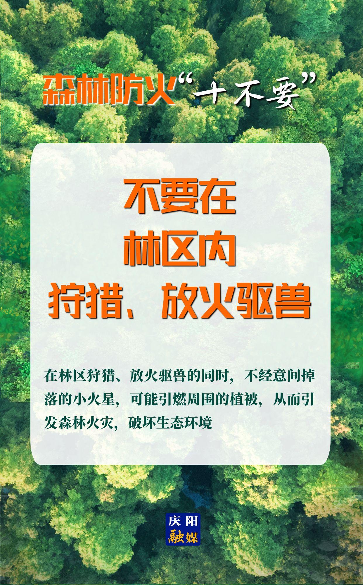 【微海報】森林防火“十不要”⑨丨不要在林區(qū)內狩獵、放火驅獸