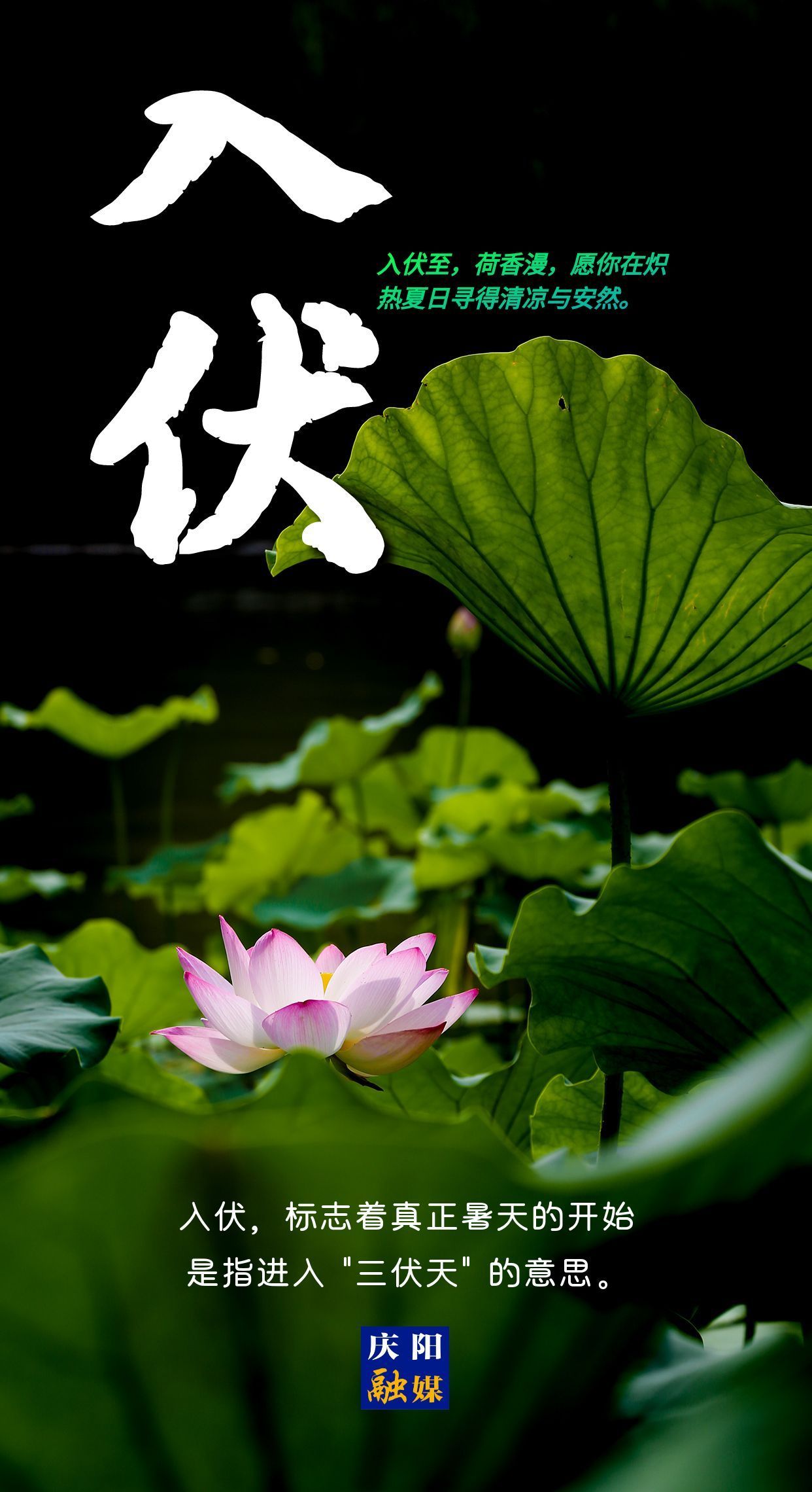 【微海報】今日入伏丨愿你安然度夏！