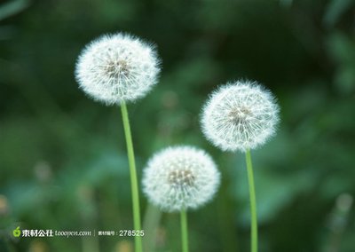t01d72ea7ff92a1c010.jpg