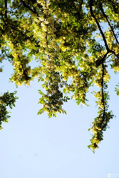 t016d97ac38a062cb9c.jpg