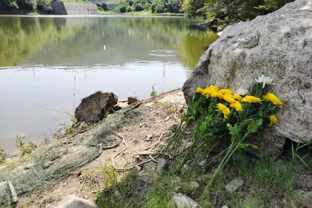 1686125534892208.jpeg